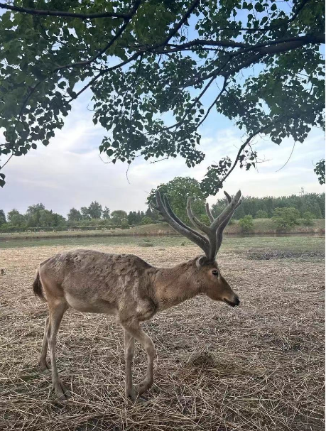 a499dea0968f34e43ec2550543d66f08.png a499dea0968f34e43ec2550543d66f08.png