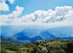 461c87424c49a9d24994d376b03943e7.png 461c87424c49a9d24994d376b03943e7.png