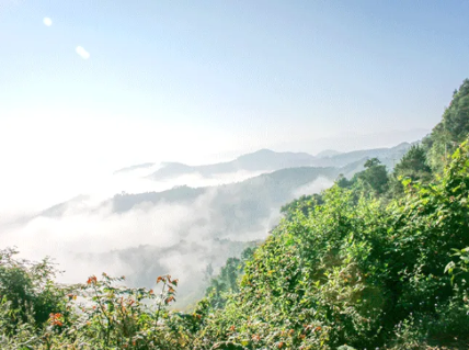 eca93dc0865a8292a255ccc39dc52a53.png eca93dc0865a8292a255ccc39dc52a53.png