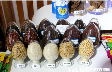 93cf5660ad910d5d74fed72aa76fa3ad.png 93cf5660ad910d5d74fed72aa76fa3ad.png