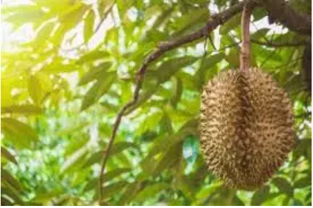 3f86021f7bcc293cde892ad5da6c71ed.png 3f86021f7bcc293cde892ad5da6c71ed.png