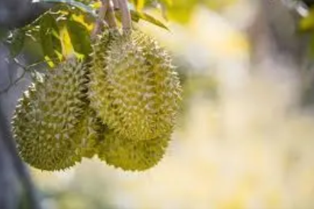 f9970a5c09f2683102550e1e69d8277e.png f9970a5c09f2683102550e1e69d8277e.png