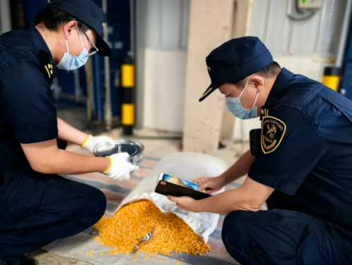 d4d38cf4fb3d8f37ed61e436cb8cca4f.png d4d38cf4fb3d8f37ed61e436cb8cca4f.png