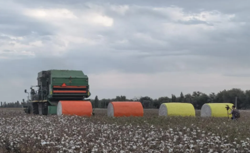 478e79e8f19eecfe306e25e1e50ea72f.png 478e79e8f19eecfe306e25e1e50ea72f.png