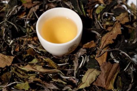 2f07cfa5292d785dc8caf81649033e18.png 2f07cfa5292d785dc8caf81649033e18.png