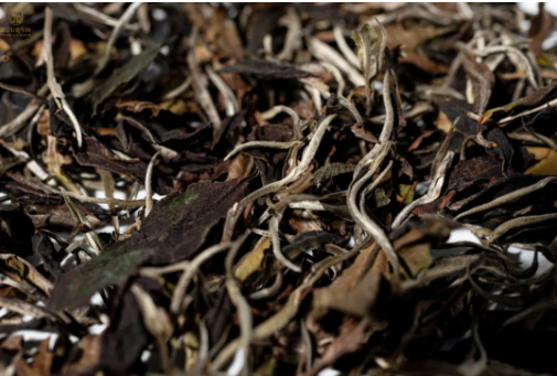 30e2ad5fb2ec648bf729ff5c42d1d883.png 30e2ad5fb2ec648bf729ff5c42d1d883.png