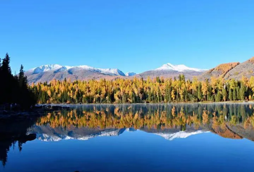 245828304501d3b5c234613f91a80428.png 245828304501d3b5c234613f91a80428.png