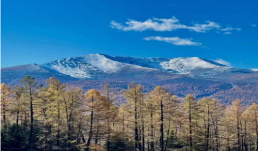 33477438d0349db55e5083ab71c66b47.png 33477438d0349db55e5083ab71c66b47.png