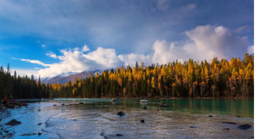 796e4213ba08bf6a09cf8d58dcce0fd0.png 796e4213ba08bf6a09cf8d58dcce0fd0.png