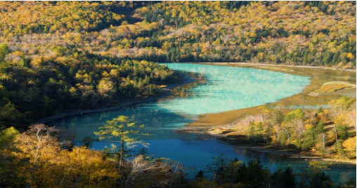 fa7a4ce52bd8e6f2213b512447f305dd.png fa7a4ce52bd8e6f2213b512447f305dd.png