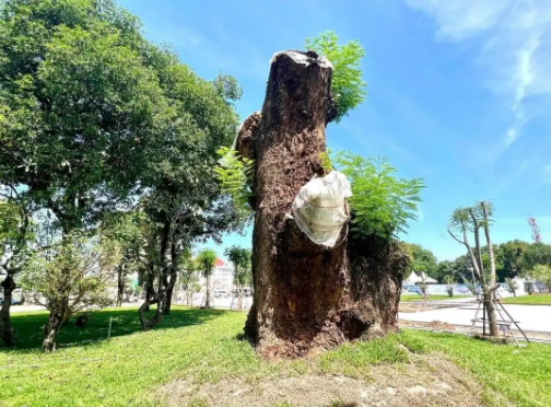 1a746365757a6d2a258aa00898649615.png 1a746365757a6d2a258aa00898649615.png