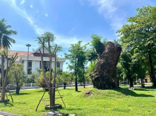 45bc6853f036002c726aa98e95447491.png 45bc6853f036002c726aa98e95447491.png