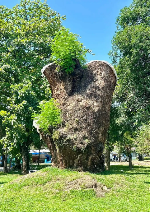 90b3cee251cf465a12f1085d55322806.png 90b3cee251cf465a12f1085d55322806.png