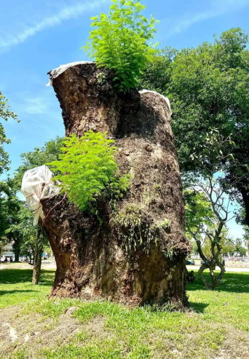 9ec62335f5d8cd116da8c2c5eb130c44.png 9ec62335f5d8cd116da8c2c5eb130c44.png