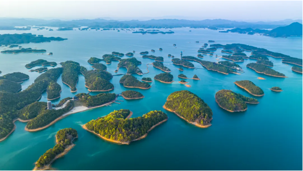 f77d07890d820bb7ed7149535b337add.png f77d07890d820bb7ed7149535b337add.png