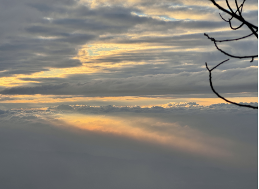 79f9c04cc4a7b43c5f4ef8f145103b32.png 79f9c04cc4a7b43c5f4ef8f145103b32.png