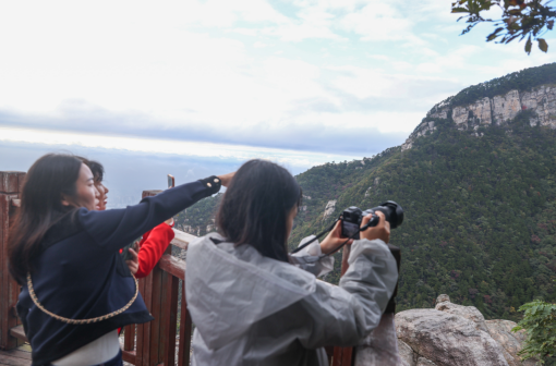 7e01f71c9a65cacfa89ccc90392b0adc.png 7e01f71c9a65cacfa89ccc90392b0adc.png