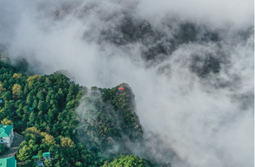 d3b6988acbc86376b89f876de8b47142.png d3b6988acbc86376b89f876de8b47142.png