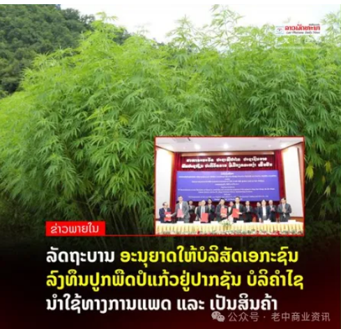 ac5c23014d59531e2870e7a895c2e611.png ac5c23014d59531e2870e7a895c2e611.png