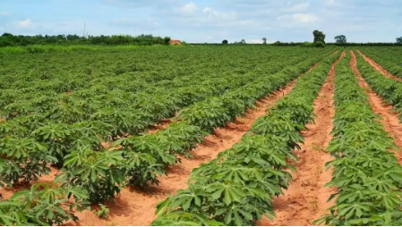 93a6ce356700638d68d8b832508a53ba.png 93a6ce356700638d68d8b832508a53ba.png