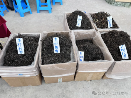 da71af74788a94ec3105175a74876ab8.png da71af74788a94ec3105175a74876ab8.png