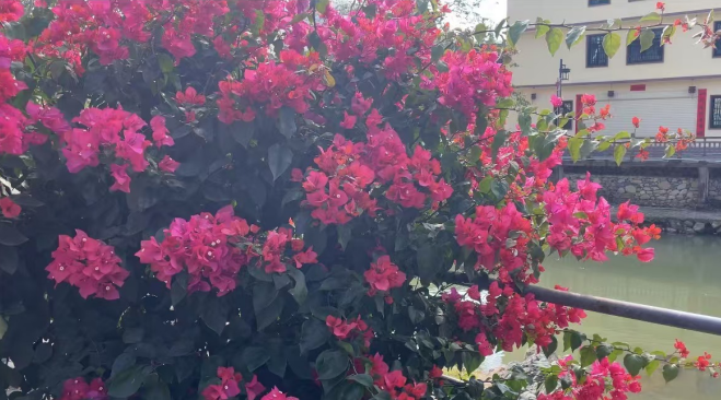 4911fcfe02a0f783e0524010ed789c12.png 4911fcfe02a0f783e0524010ed789c12.png