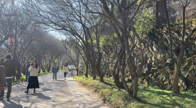 79ef34929c0cbf451adee27d647c92f3.png 79ef34929c0cbf451adee27d647c92f3.png