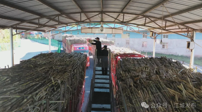 cf0a9e65bf4c13649664ab1a8902d9c7.png cf0a9e65bf4c13649664ab1a8902d9c7.png