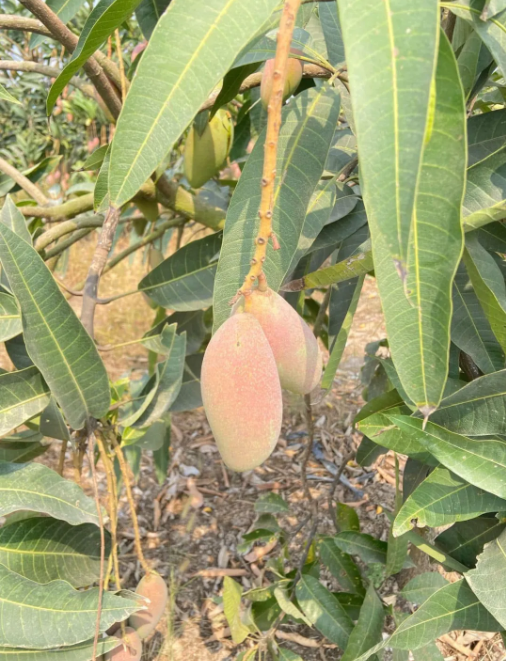 345b9192f02ca02f56ff62e6feeecc04.png 345b9192f02ca02f56ff62e6feeecc04.png