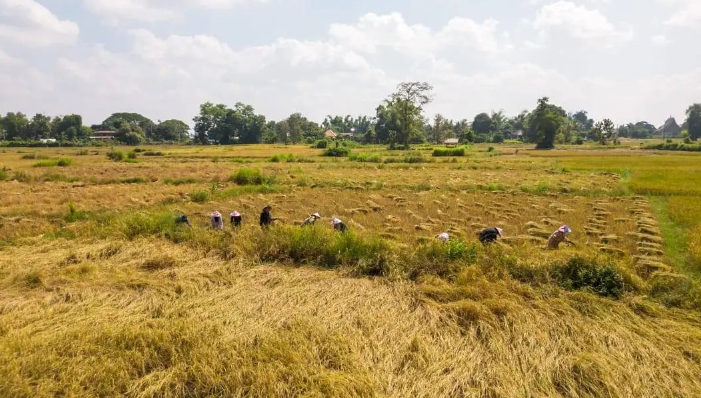 3b68dc08bc73c306b75999ed8cdf2bac.png 3b68dc08bc73c306b75999ed8cdf2bac.png