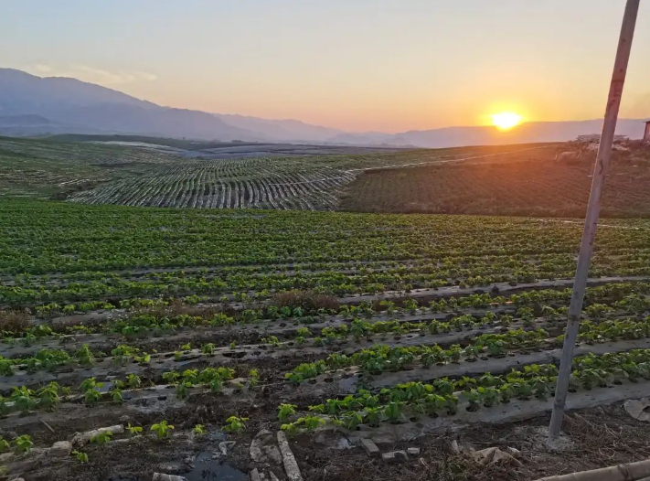 eb2d9e9e0d55f18cc4a39ccee0e4aa09.png eb2d9e9e0d55f18cc4a39ccee0e4aa09.png