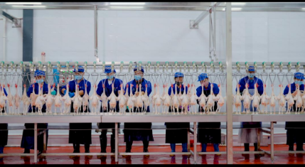 a9b1063eba16174dc93a743efee8e0ee.png a9b1063eba16174dc93a743efee8e0ee.png