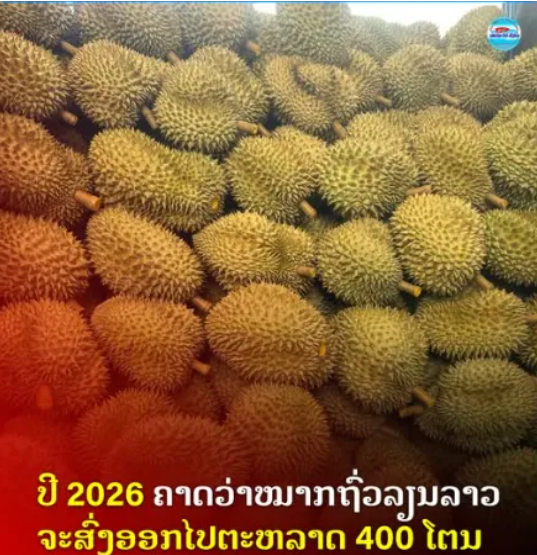 0c1082f68ed2f6a26d3fadb09b60f082.png 0c1082f68ed2f6a26d3fadb09b60f082.png