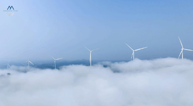 1fed88d9051f799b83d98bbc8642e45e.png 1fed88d9051f799b83d98bbc8642e45e.png