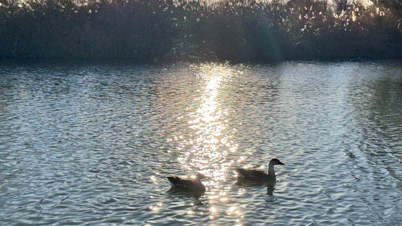 a07eb133ff3adfd075bf4a8fd8353952.jpg a07eb133ff3adfd075bf4a8fd8353952.jpg