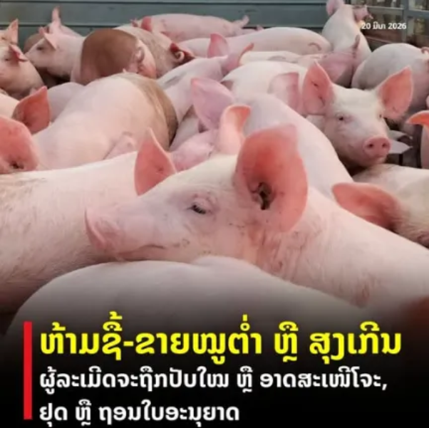 b6308703db9d03af7edba681d572a6a8.png