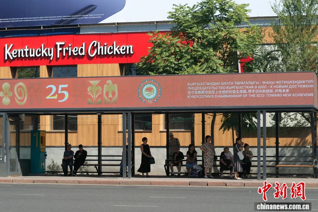 4601b0b7ffae7a11a12018db70e429f2.jpg
